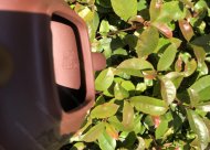 傳爐；底槽清450CC