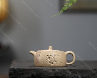 太湖石井 太湖石井