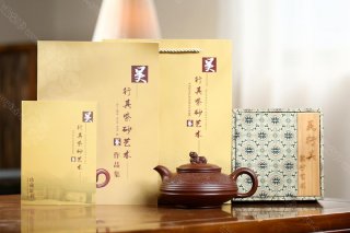 龍韻雄獅 龍韻雄獅