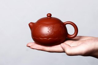 荷風西施 荷風西施