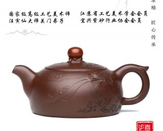 化魚成龍 化魚成龍