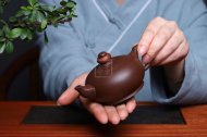 《一團和氣》宜興紫砂壺全手工泡茶壺工藝美術師大師紫泥