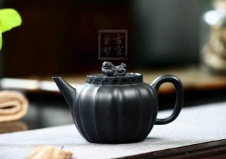 《小獅球》 《小獅球》