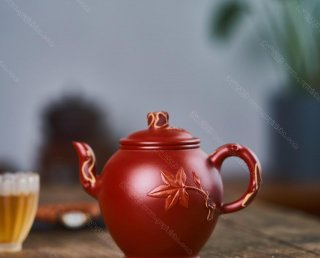 丹楓迎秋 丹楓迎秋