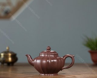 筋紋笑櫻 筋紋笑櫻