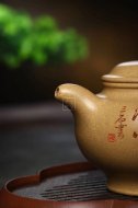 《掇只》宜興紫砂壺助理工藝美術師手工本山段泡茶壺掇只茶具