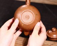 《掇球經霜傲雪灑金》